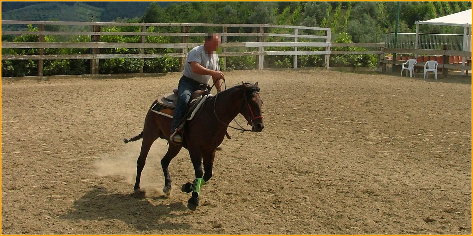 Hipódromos y Equitación - Cuidado, Limpieza y Remediación